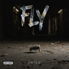 Fly