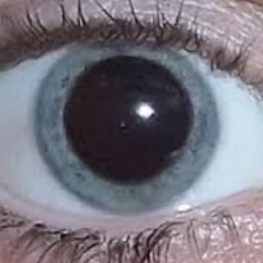 Dreaming Prod. Zackary