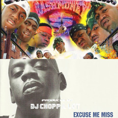 Excuse Me,  I Need a Hot Girl (Remix)