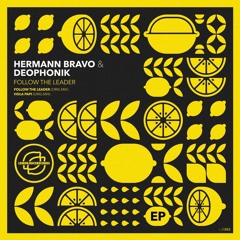 Hermann Bravo & Deophonik - Hola Papi