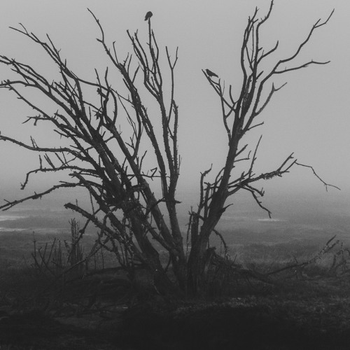 Suicidal Recording 007(prod. Splinter Beats)