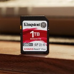 Kingston Digital delivers speed and capacity with new Canvas React Plus V60 cards