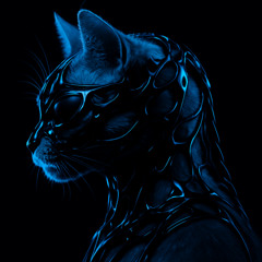 Dendi After Dark -  2025 Melodic Techno and Tribal Mix