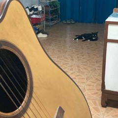 กล้า ดึกแล้ว ไม่ออกจากบ้านแล้ว! (เพื่อนใหม่โยคีเคบย)