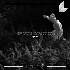 QZK - If You Want It