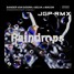 SANDER VAN DOORN - RAINDROPS - John G Paul RMX