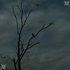 hed0rah x dualspines мислех, че ти пука (stzy)