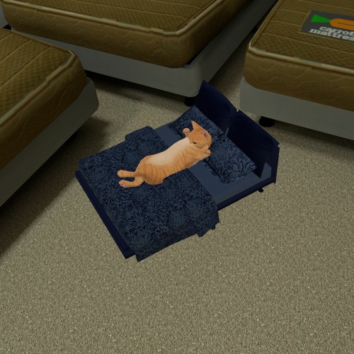 Business Funk 1 Demo