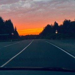 В комнате отеля