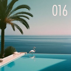 RSS Disco #016 / summer 2024