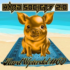 Coarsection @ Hard Wpierdol #60 [Hard Society 2.0 17.05.2024 Szczecin]
