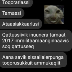 suunngitsut (dizz)