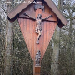 Rückenschmerzen