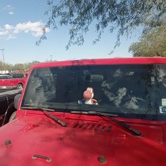 Trashy ideas