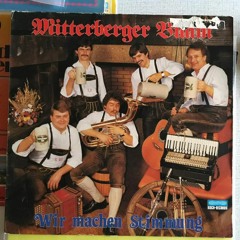 Mitterberger Buam - Klingende Harmonika