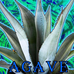 Agave (Prod. By Coll Quic)