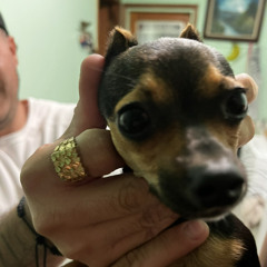 Andrea - TIMPORT EDIT