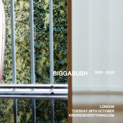 BIGGABUSH 28.10.25