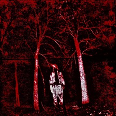 Shawshank Redemption