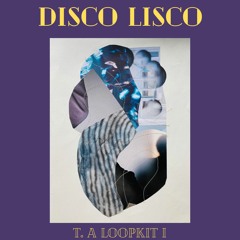 DISCO LOOPS 108 Example