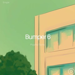 Bumper 6