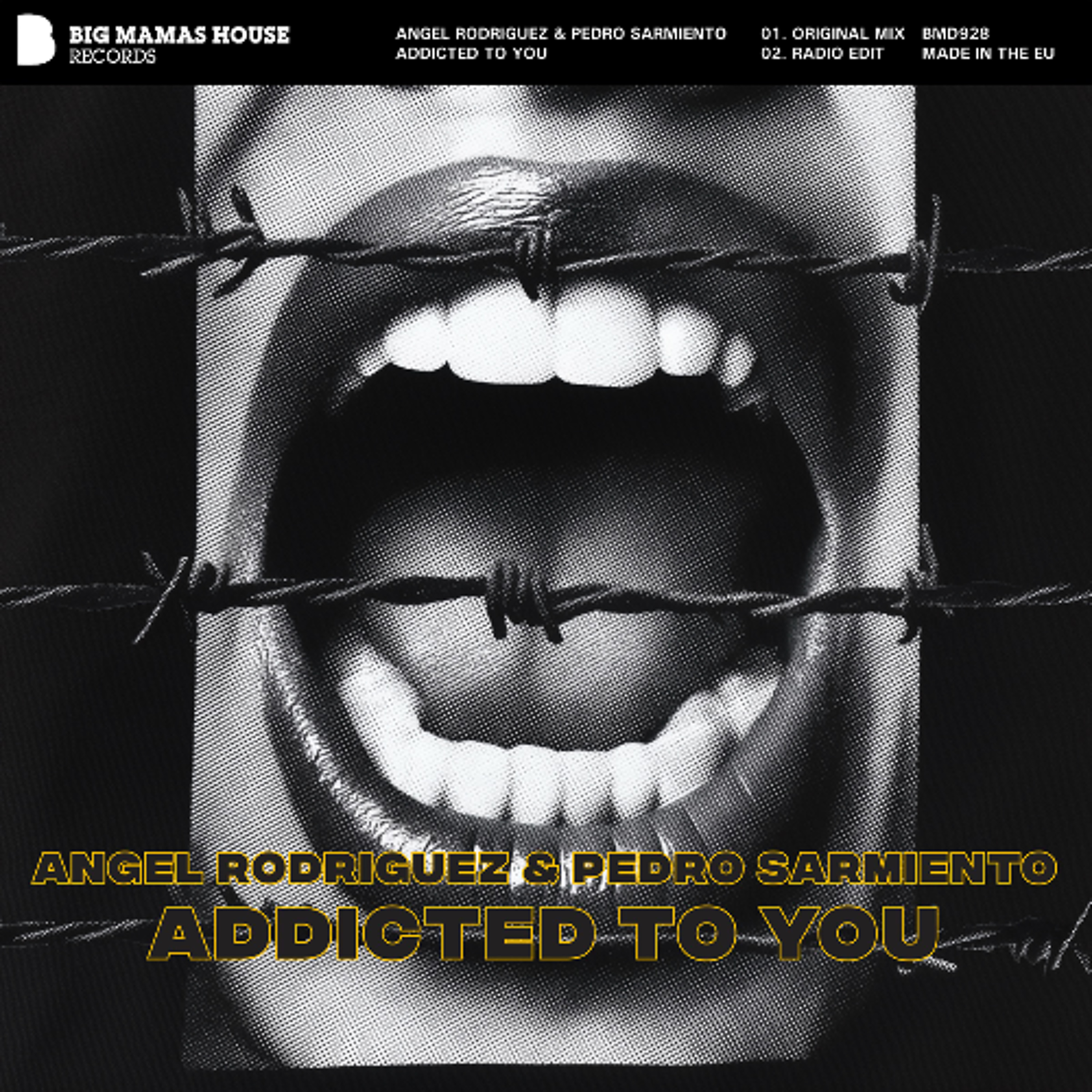 Big Mamas House Records