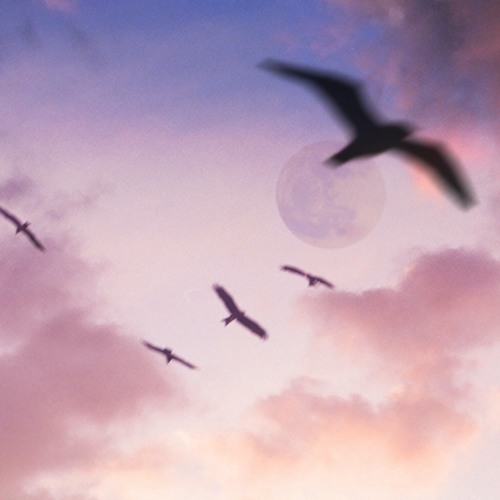 03. Soul Renegades - Flying Free (Drummore Remix) SNIPPETS BTM003