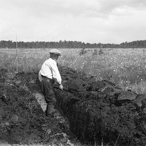 Funking Duck: Hard Work