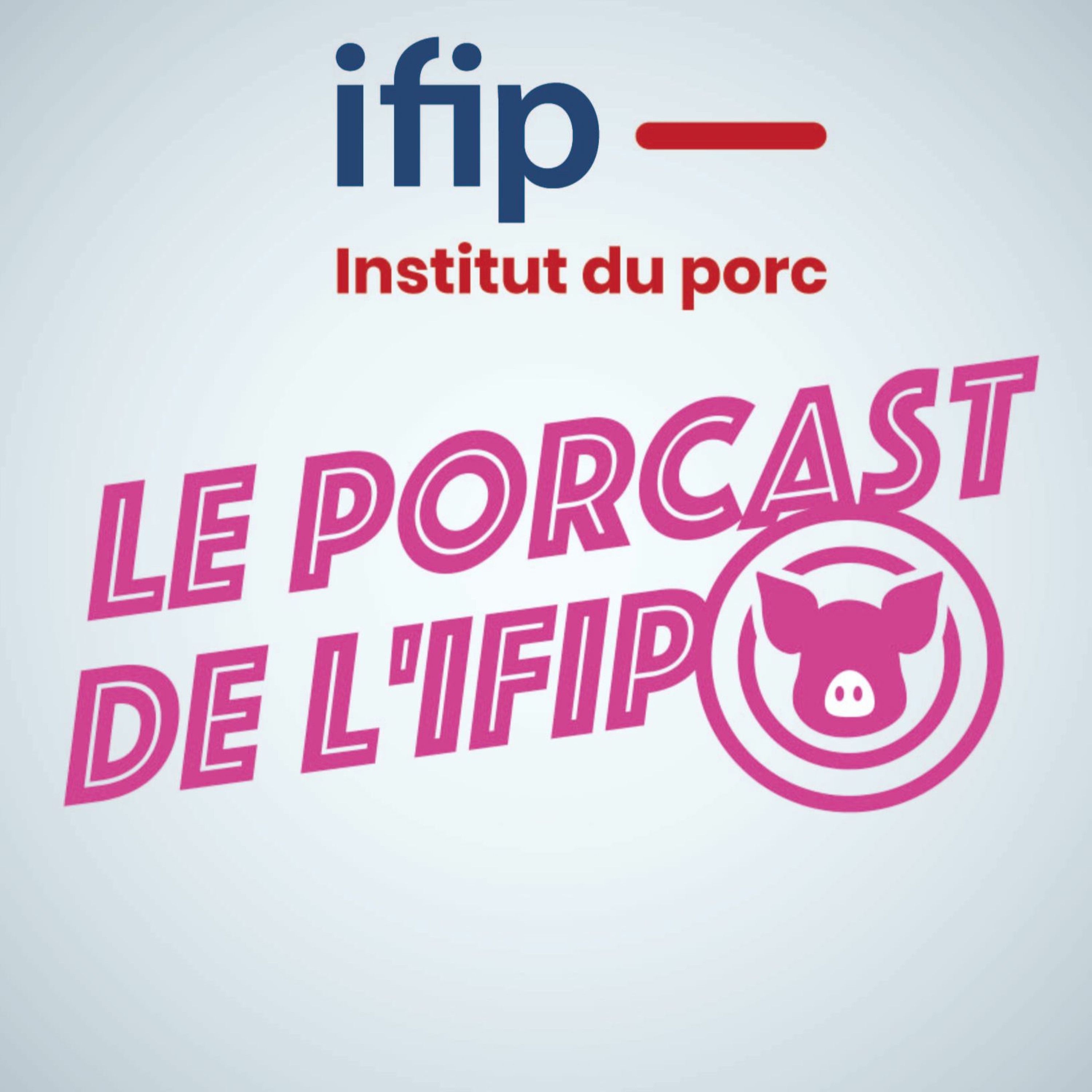 Conjoncture Matières Premières : marchés tendus et volatils (6 janvier 2021) episode artwork
