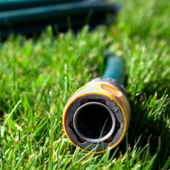 howie mandel vs twitter