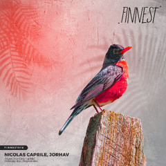 Nicolas Caprile, Jorhav - Last One (Original Mix)