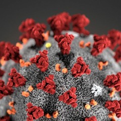 infected