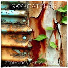 Zodiac Signs Virgo Volume 8