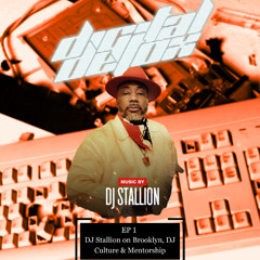 Digital Detox EP 1 DJ Stallion Interview