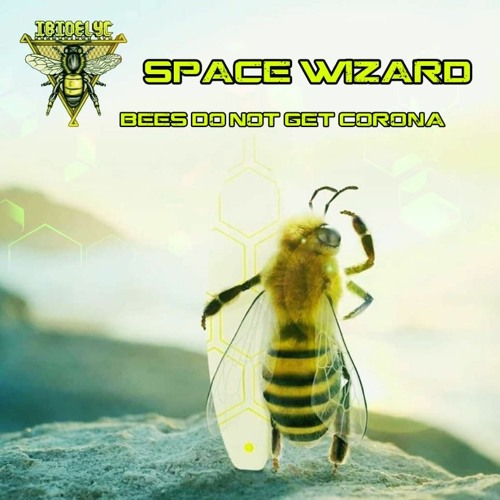 Ibidelyc & Friends 03 - Space Wizard (dj) - Ibidelyc