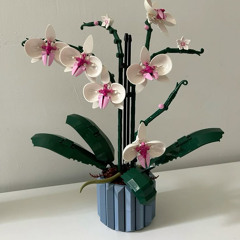 avara/elysia - store bought flowers edit