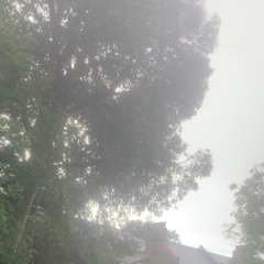 king of my city w/ tanr! (p. sky)