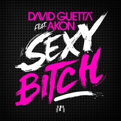 David Guetta Ft Akon - Sexy Bitch (MARTMAD Remix)