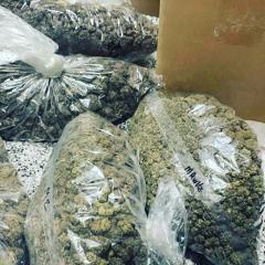 WetSlimeOutside (ft.B1GG13G1BBY)