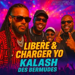 Libéré & Charger Yo MEERAGE EDIT TRANSITION