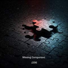 Missing Component