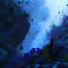 6. Mirror Moon (Tony O'Connor)