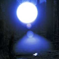 SoulBreakerr