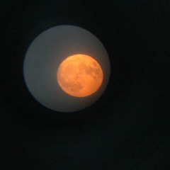 LIFE FORMS DEMO COnDensed - 3:13:20, 6.48 PM