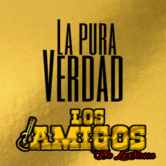 La Pura Verdad (Cover)