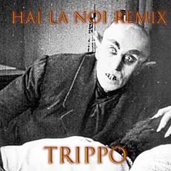 NSD - Hai La Noi (Trippo Remix)