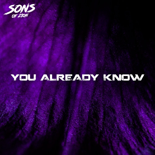 Sons of Zion - You Already Know