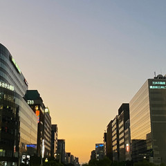 free night