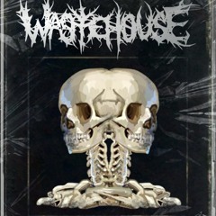 Winter Woods 1 - WASTEHOUSE