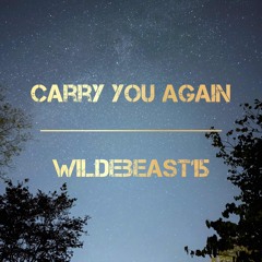 Carry You Again